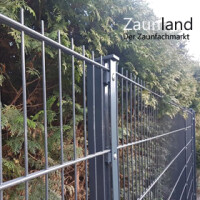 Doppelstabmatte SD 8-6-8 mm RAL 7016 anthrazit (L. x H.) 2500 x   830 mm
