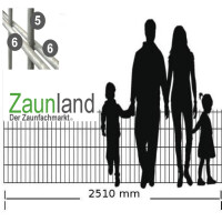 Doppelstabmatte SD 6-5-6 mm RAL 7016 anthrazit (L. x H.) 2500 x    830 mm