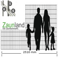 Doppelstabmatte SD 6-5-6 mm RAL 7016 anthrazit (L. x H.) 2500 x  2030 mm