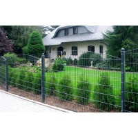 Schmuckzaun-Gitterelement Residenz SYDNEY grün RAL6005 1006 mm