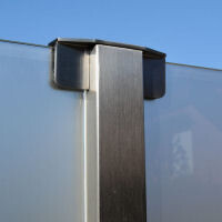 Glaszaun Closed (L x H) 4 m x 200 cm, mit Tür, Anschlag links, nach außen öffnend, Klarglas, 10,76 mm VSG, Pfosten einbetoniert