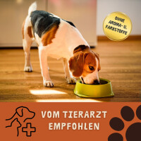 Hundefutter ROPODOG Nassfutter 6 x 800 g Dosen in Premium Qu