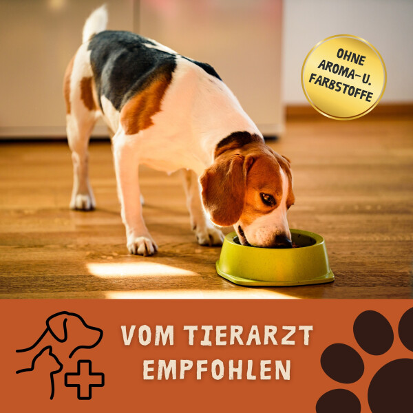 Hundefutter ROPODOG Nassfutter 6 x 800 g Dosen in Premium Qualitt - ,  21,70