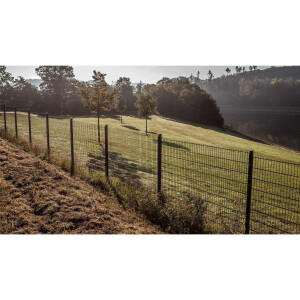 Stabgitterzaun Design MICHL (H x L) 0800 mm x 2 m in Anthrazit