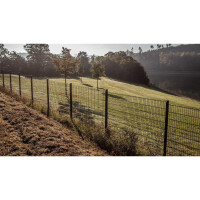 Stabgitterzaun Design MICHL (H x L) 0800 mm x 2 m in Anthrazit