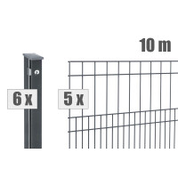 Doppelstabzaun Design MILO ( H x L ) 1000 mm x 20 m in Anthrazit
