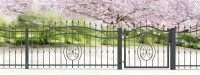 Schmuckzaun Schmiedezaun Residenz Potsdam Premium Elementh&o