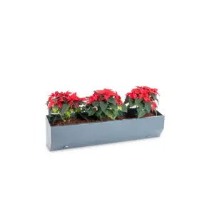 Outdoor-Regal Stabgitterzaun Steingrau RAL 7030