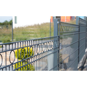 Schmuckzaun Design Rom (H x B ) 1030 mm x 30 m Anthrazit
